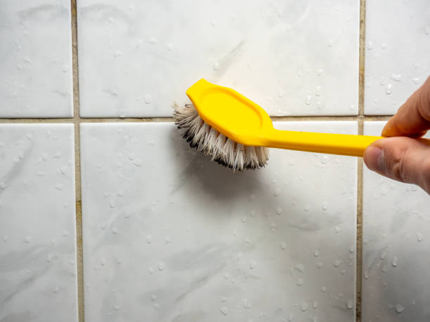 Best Emergency Mold Removal  in Republic, PA