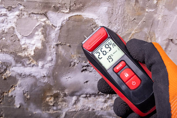 Best Best Mold Removal Companies  in Republic, PA