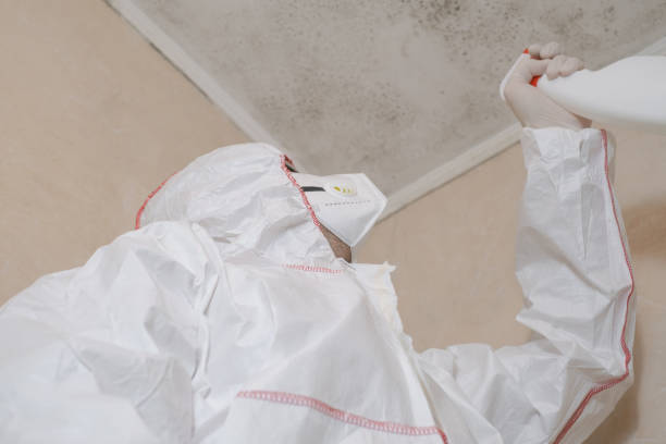 Best Office Mold Removal Services  in Republic, PA