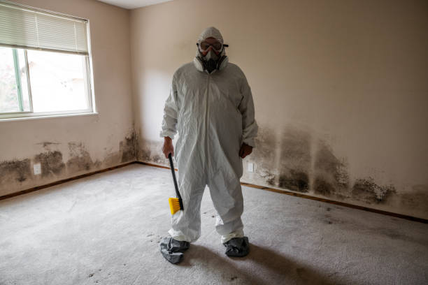 Best Toxic Mold Removal  in Republic, PA