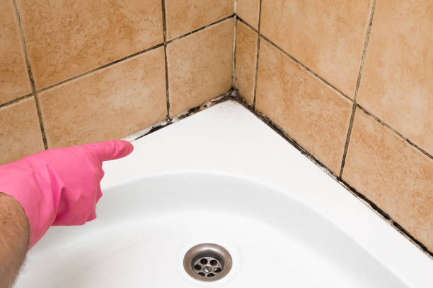 Best Commercial Mold Removal  in Republic, PA